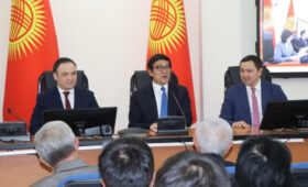 Коллективу Минздрава представили нового замминистра Эркинова