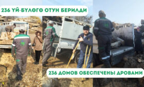 Мэрия Бишкека обеспечила 236 семей дровами
