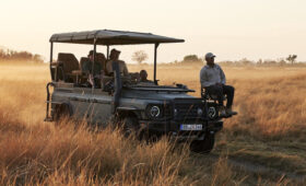Ineos Grenadier Game Viewer готов к путешествию по саванне