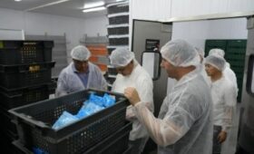 В Чуйской области планируют открыть 78 перерабатывающих предприятий