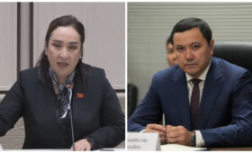 Депутат призвала обеспечить нейроотделения препаратами для тромболизиса. Минздрав заявил о пересмотре подходов