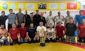 Федерация смешанных видов единоборств и комбат джиу-джитсу в 2025 году завоевала 54 медали на чемпионатах мира, Азии и Европы. Фото