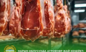 В Нарынской области создаются 33 перерабатывающих предприятия