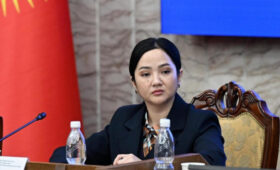 Депутат предложила открыть протезно-ортопедическое учреждение в Манасе