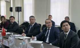 Китайской компании Taifaxian представили ключевые инвестпроекты Кыргызстана