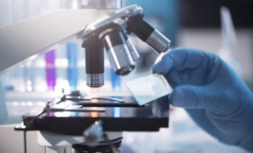 Сингапурские ученые нашли способ «перезагрузить» стареющий мозг