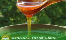 Кыргызстан получил разрешение на экспорт меда в Евросоюз