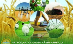 На форуме «АгроДиалог–2026» выберут 40 чемпионов сельского хозяйства