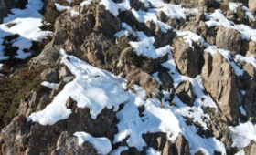 В Караташ-Жапырыке обеспечили диким животным корма на зимний период