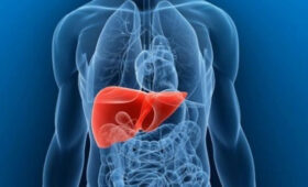 В Кыргызстане сравнили радикальные и органосохраняющие операции при эхинококкозе печени