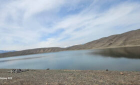 В Кыргызстане запускают систему цифровой прослеживаемости рыб