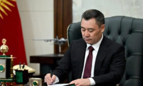 Президент поручил Кабмину организовать сборы и антидопинговые меры для спортсменов на два года