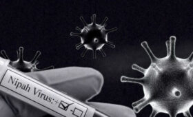 Минздрав усилил контроль на границе из-за риска завоза вируса Нипах