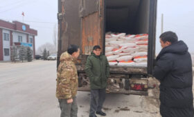 Грузы, не соответствующие требованиям ЕАЭС, не допустят на территорию КР