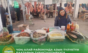 В селе Дароот-Коргон Чон-Алайского района состоялась фермерская ярмарка