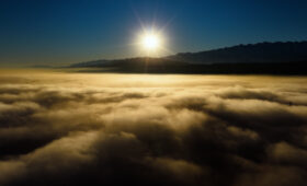 Невидимая угроза: как загрязненный воздух может поражать нервную систему. Данные исследования