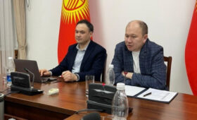 В Минздраве обсудили сотрудничество с кыргызскими врачами, находящихся за рубежом