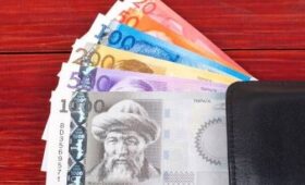 Сироте с инвалидностью выплатят пособия на сумму более полумиллиона сомов