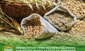 Минсельхоз КР предупреждает о новых требованиях к посевному материалу