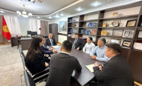 В Бишкеке обсудили запуск солнечных проектов в труднодоступных регионах