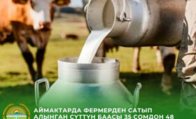 По Кыргызстану закупочная цена молока составляет от 32 до 48 сомов за литр