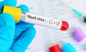 В Кыргызстане ввели ограничения на ввоз животных из Индии