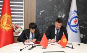 Китайский инвестор вложит $300 млн в строительство каскада ГЭС на реке Тар