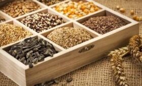 Кыргызстан наращивает объемы и ассортимент экспорта в Китай