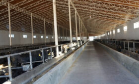 Минсельхоз КР подвел итоги селекционной работы