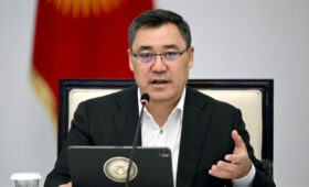 Выборы президента – в руках Садыра Жапарова и Конституции