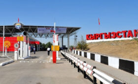 Ветеринарный контроль на границе Кыргызстана работает в «эконом-режиме»?