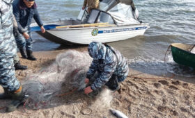 На Иссык-Куле продолжают выявлять и утилизировать браконьерские сети