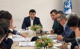 В Бишкеке обсудили развитие детско-юношеского спорта с директорами СДЮШОР