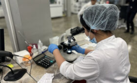 В КР планируют создать современную гослабораторию для ранней диагностики