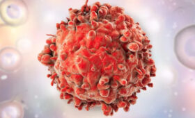 В какой области Кыргызстана чаще всего выявляют рак и какой вид лидирует? Данные исследования