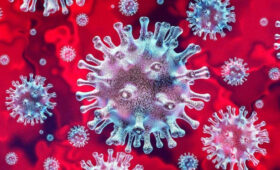 С октября в Кыргызстане зарегистрированы 18 случаев коронавируса, — Госсанэпиднадзор