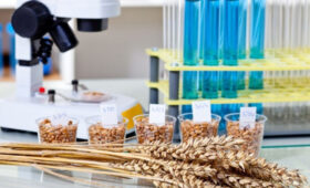 В Кыргызстане запущена АИС «Экспертиза»