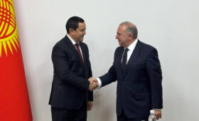 Кыргызстан и Турция активизируют направление граждан на лечение по квотам