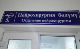 Депутат просит направить нейрохирургов в Таласскую область