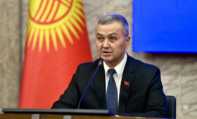 Брат Бека Борбиева оценил работу Ташиева и спикера Жогорку Кенеша