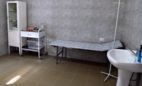 Депутат просит улучшить снабжение сельских медпунктов медикаментами