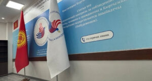 В 2025 году  Институт акыйкатчы КР принял почти 10 тысяч обращений