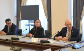 Депутаты ЖК встретились с представителем Всемирной организации здравоохранения