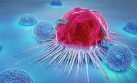 По онкологическим заболеваниям медицина «в коме», — депутат