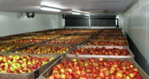 В Кыргызстане запустят масштабный проект по строительству холодильных камер