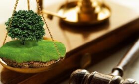 Депутат ЖК заявил о захвате 18 гектаров земли чиновником в Араване