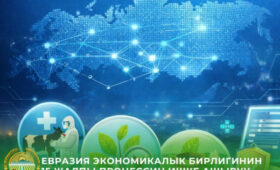 Кыргызстан завершает интеграцию в единую систему контроля ЕАЭС