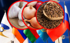 Фитосанитарный контроль в ЕАЭС ужесточили из-за серых схем