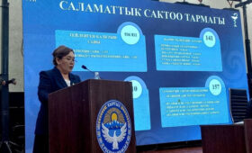 В 2025 году в Чуйской области был 141 случай младенческой смертности и 10 случаев материнской