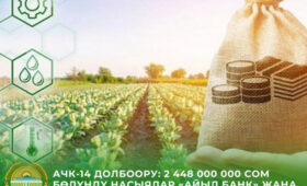 Фермерам выдадут льготные кредиты под 6 % годовых в рамках проекта ФСХ-14